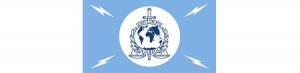 INTERPOL flag
