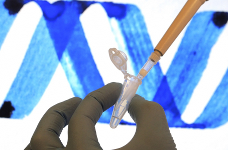 DNA